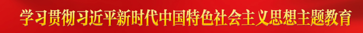 学习贯彻习近平新时代中国特色社会主义思想主题教育